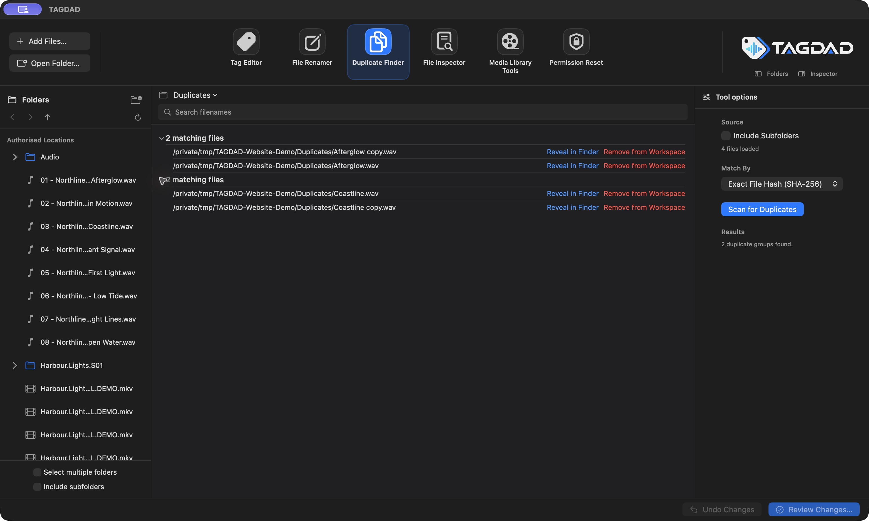 Duplicate Finder grouping matching files from a demonstration library.
